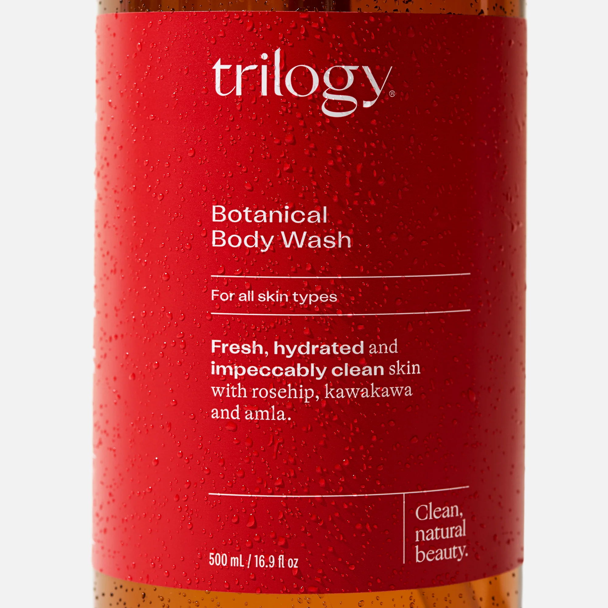 Botanical Body Wash - Image 3